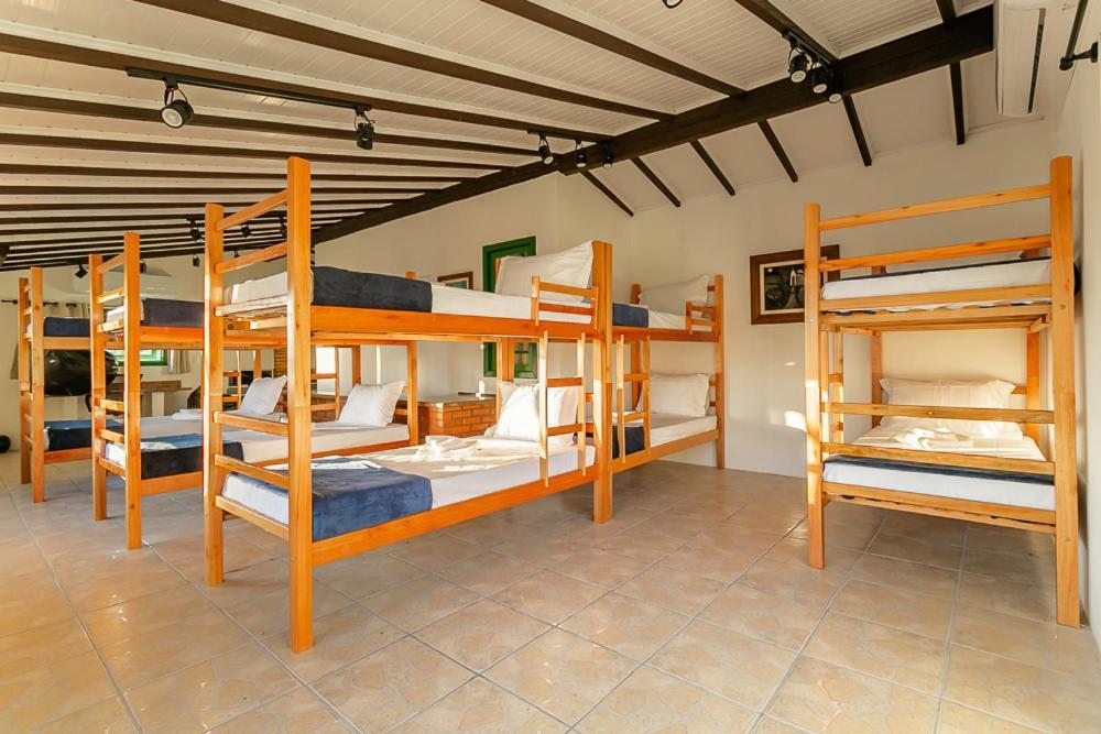 Abaporu Art Hostel Florianópolis Eksteriør bilde